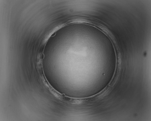 X0000115851385200912242028