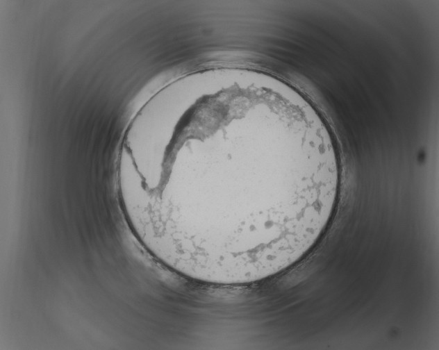 X0000115851386200912242028