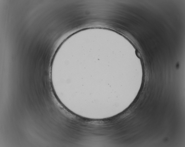 X0000115851388200912242028