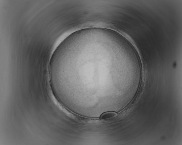 X0000115851389200912242028