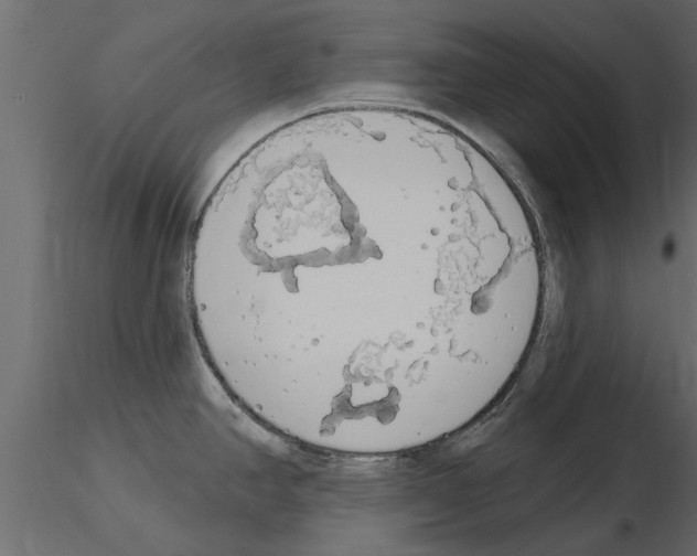 X0000115851390200912242028