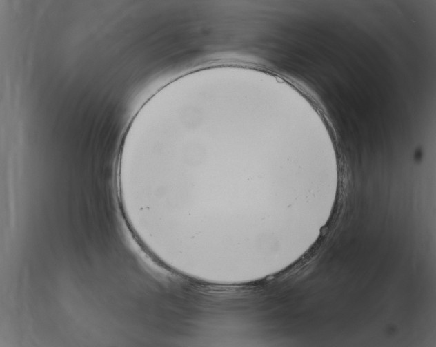 X0000115851391200912242028