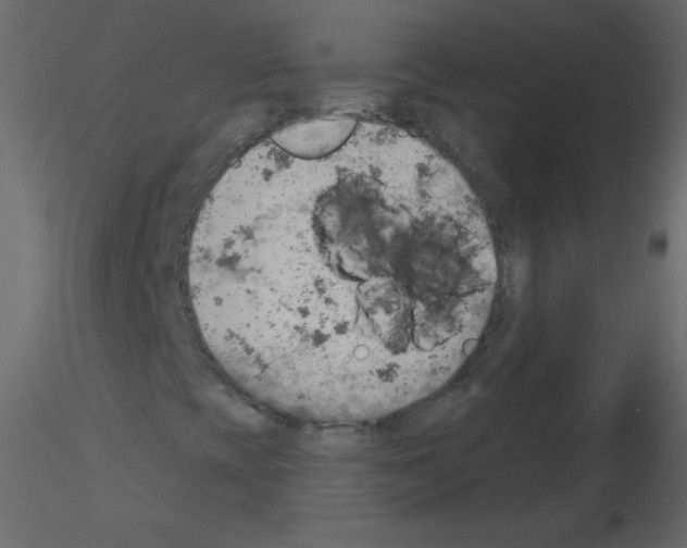 X0000115851393200912242028