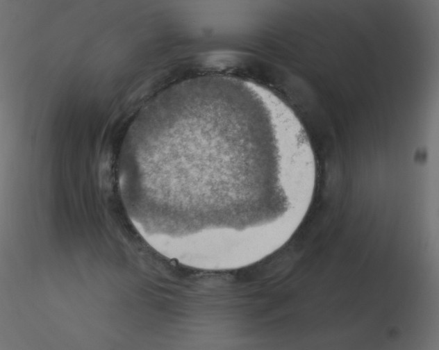 X0000115851394200912242028