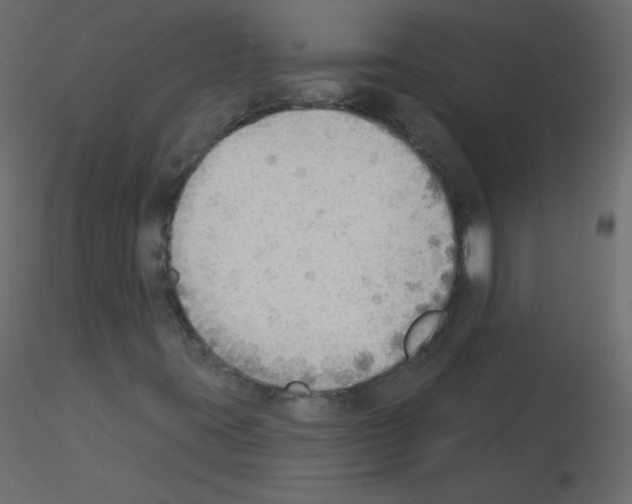 X0000115851395200912242028