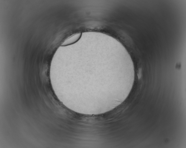 X0000115851396200912242028