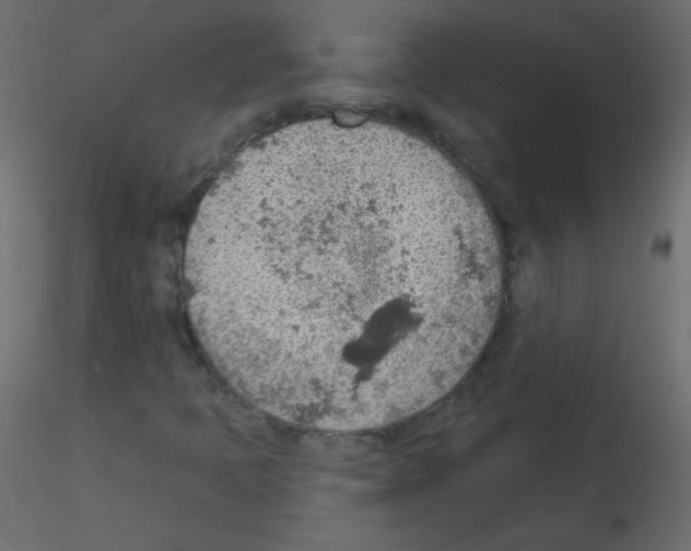 X0000115851397200912242028