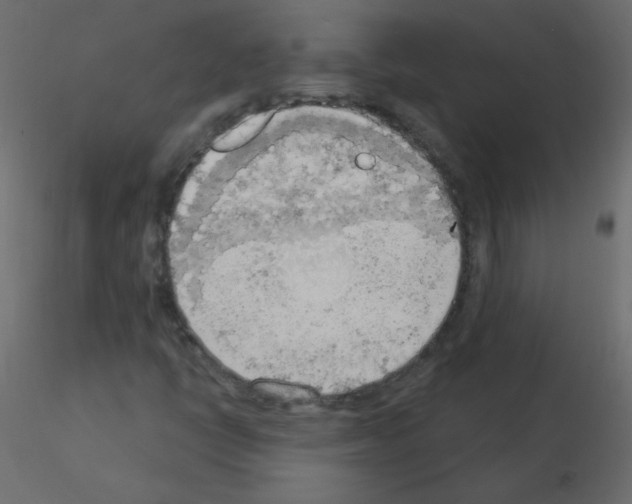 X0000115851398200912242028