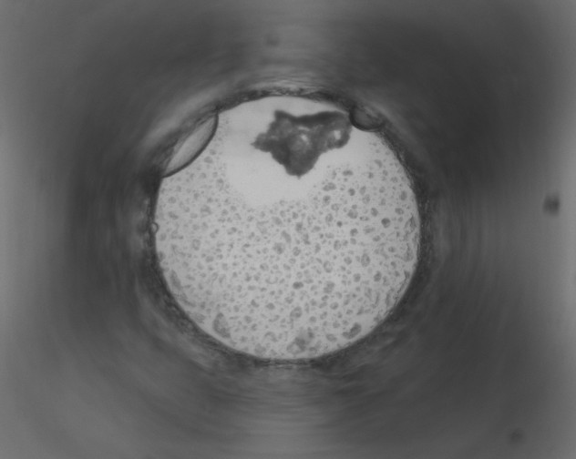 X0000115851399200912242028