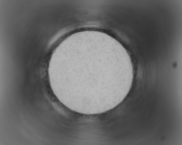 X0000115851400200912242028