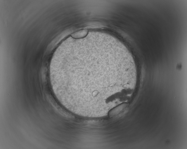 X0000115851401200912242028