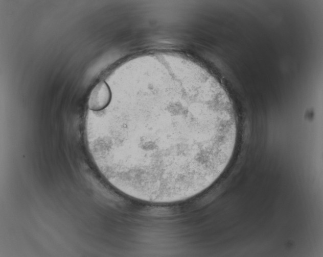 X0000115851402200912242028