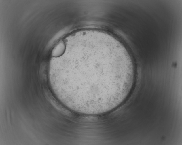 X0000115851403200912242028