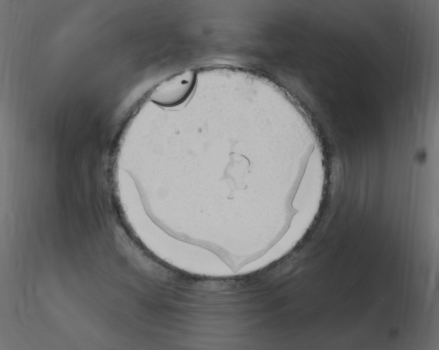 X0000115851404200912242028