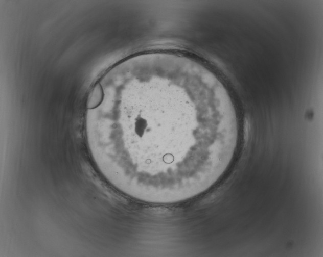 X0000115851405200912242028