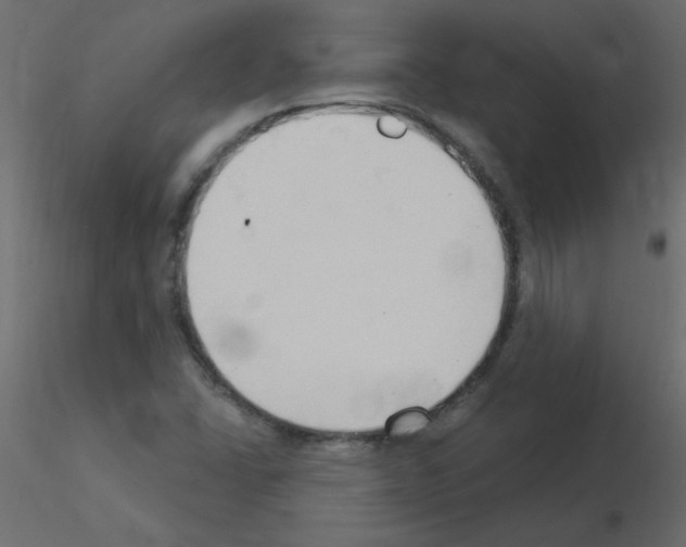 X0000115851406200912242028