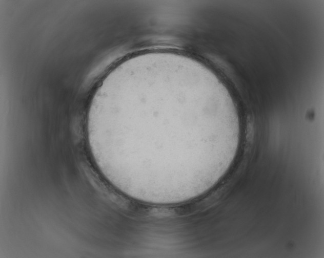 X0000115851407200912242028