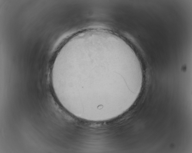 X0000115851408200912242028