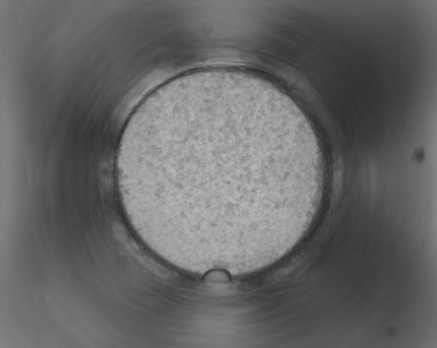 X0000115851409200912242028