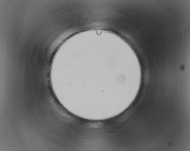 X0000115851410200912242028