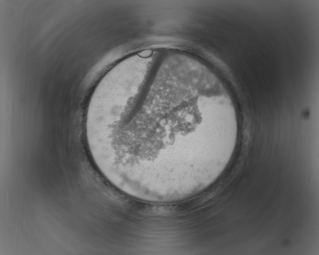X0000115851411200912242028