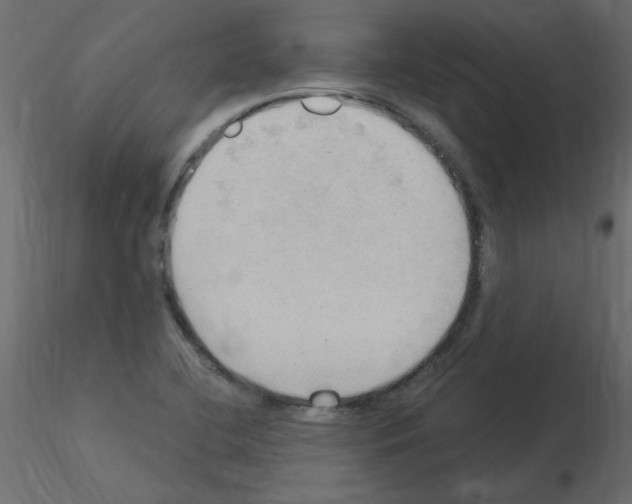X0000115851412200912242028