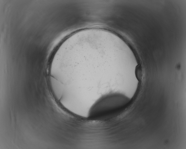 X0000115851414200912242028
