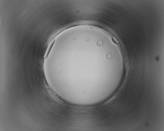 X0000115851417200912242028