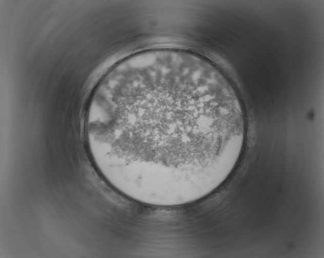 X0000115851419200912242028