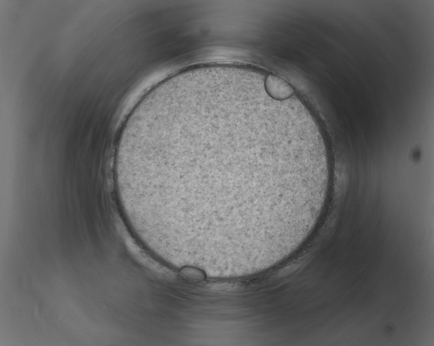 X0000115851421200912242028