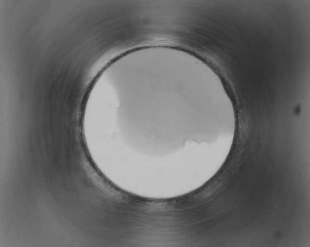 X0000115851422200912242028