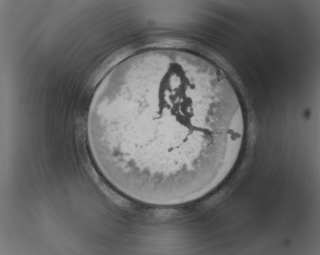 X0000115851425200912242028