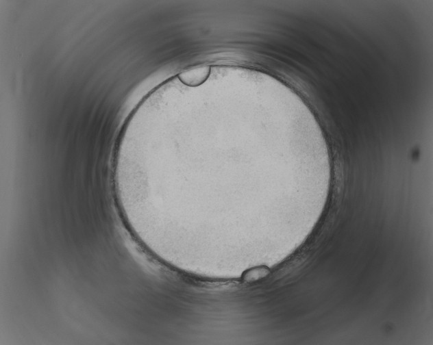 X0000115851426200912242028