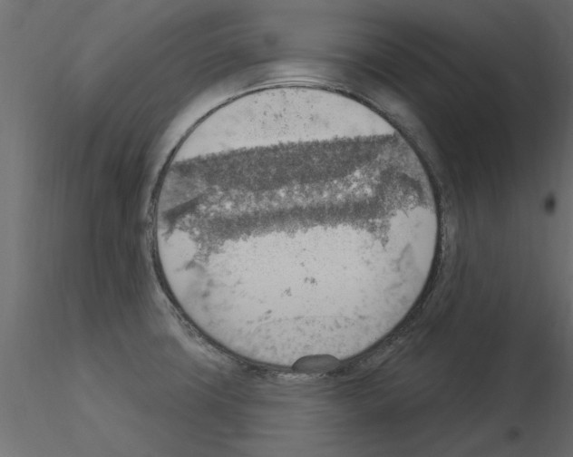 X0000115851427200912242028