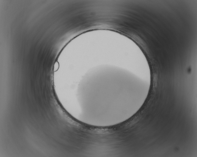 X0000115851428200912242028