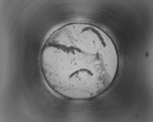 X0000115851429200912242028