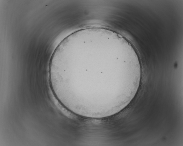 X0000115851431200912242028