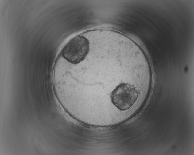X0000115851436200912242028
