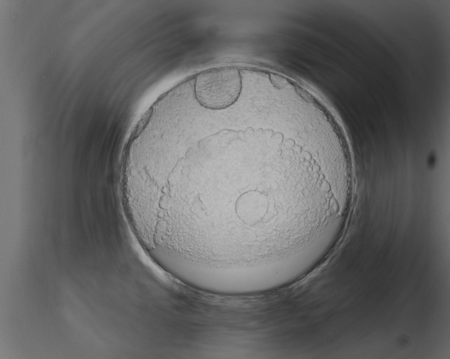 X0000115851437200912242028