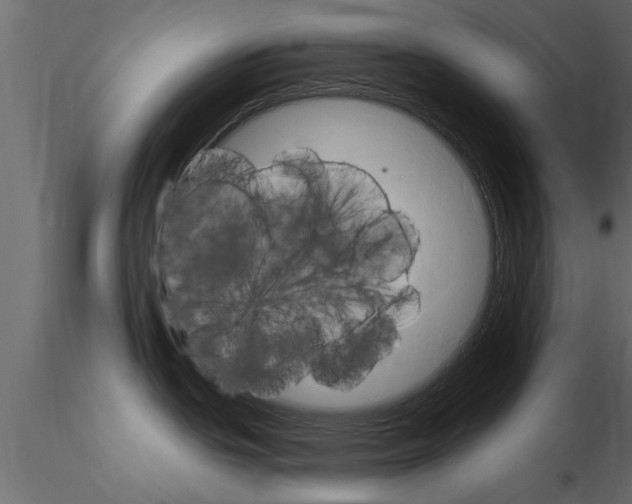 X0000115851439200912242028