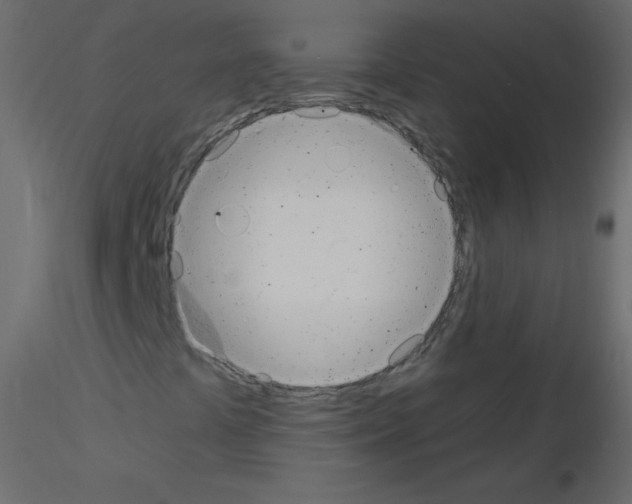 X0000115851441200912242028