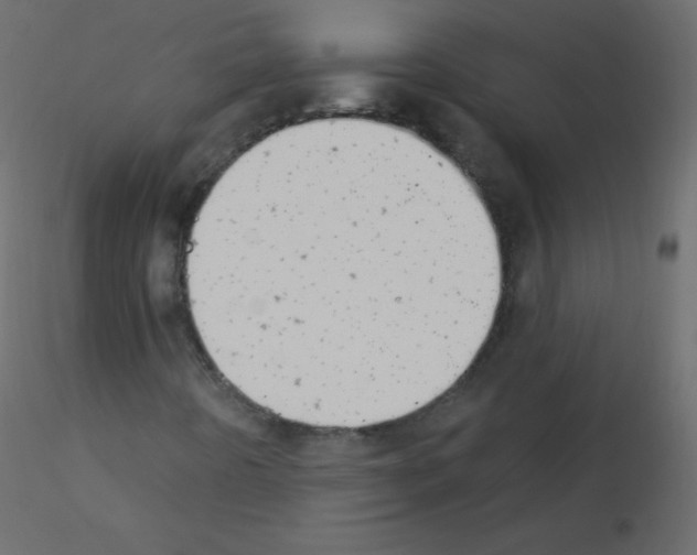 X0000115851442200912242028