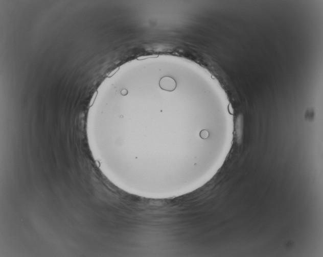 X0000115851443200912242028