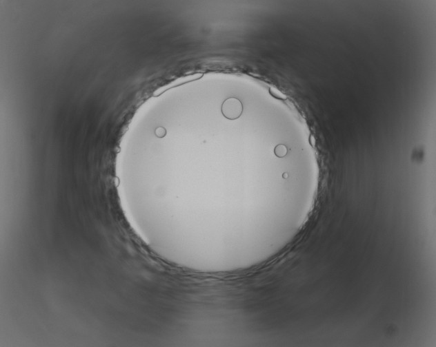 X0000115851445200912242028