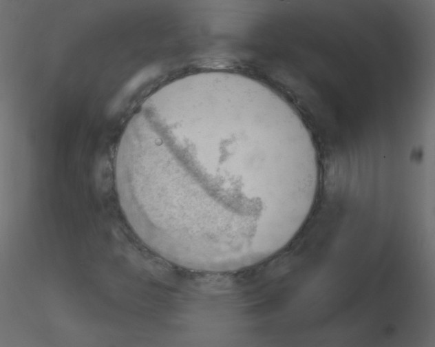 X0000115851446200912242028