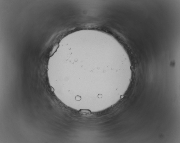 X0000115851447200912242028
