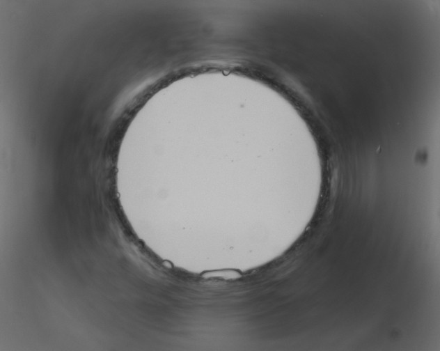 X0000115851448200912242028