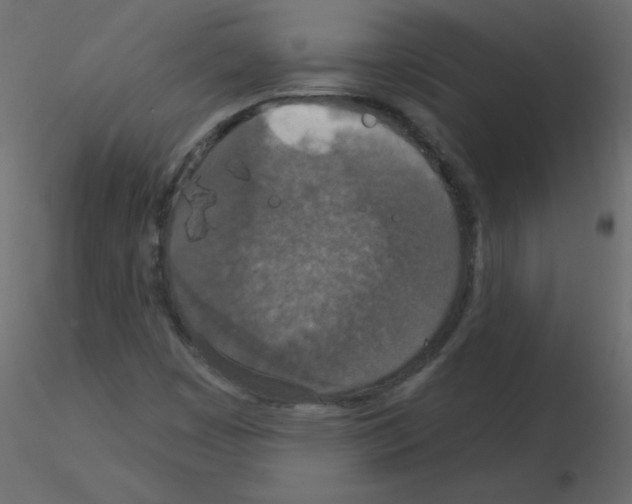 X0000115851449200912242028
