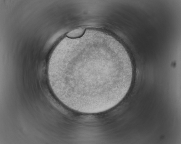 X0000115851450200912242028