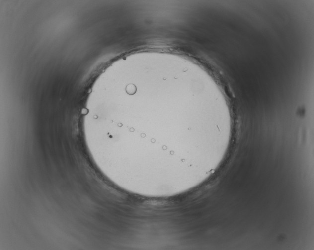 X0000115851451200912242028